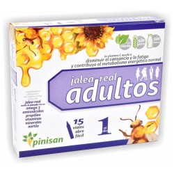 Jalea Real Adultos Sin Gluten 15 Viales Pinisan