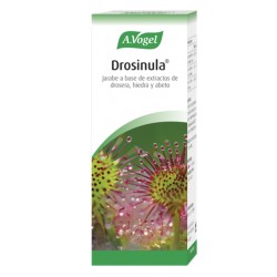 Drosinula Respiratorio Bioforce Sin Gluten 200ml A.Vogel