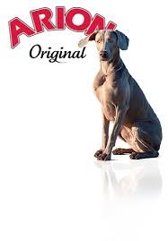 ARION